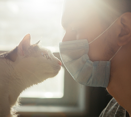 cat_with_male_wearing_surgical_mask